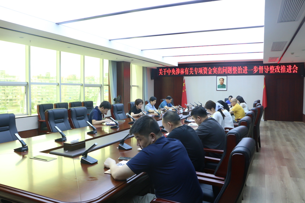 关于中央涉林有关专项资金突出问题整治进一步督导整改推进会