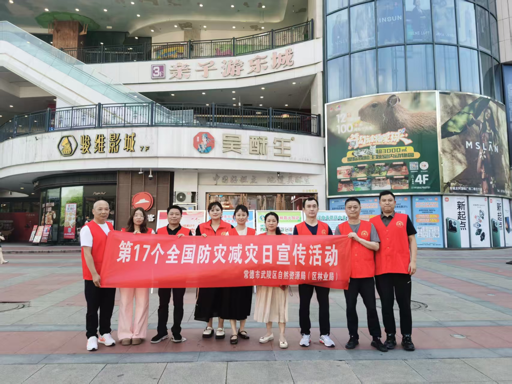 图片11