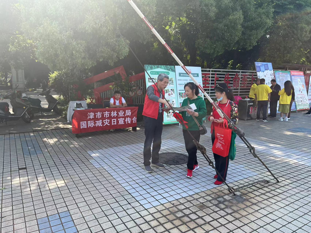 图片15