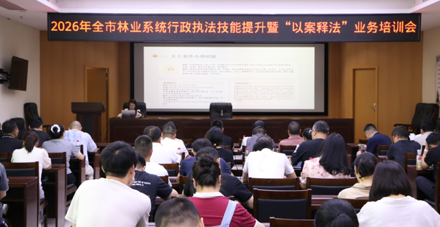 十大买球软件组织开展2026年行政执法技能提升暨