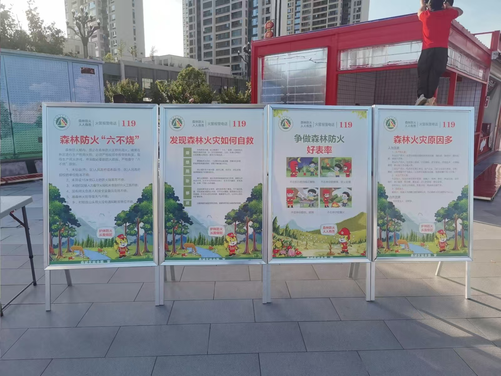 图片8