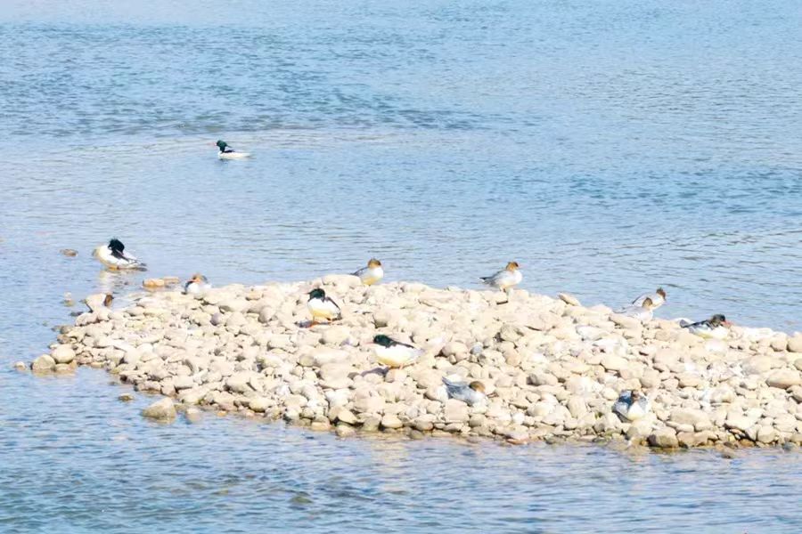 微信图片_20250425103424