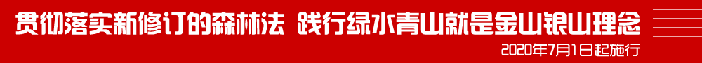 热门买球平台