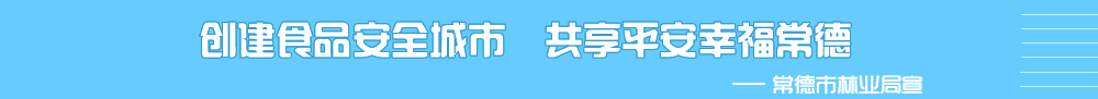可靠投注服务