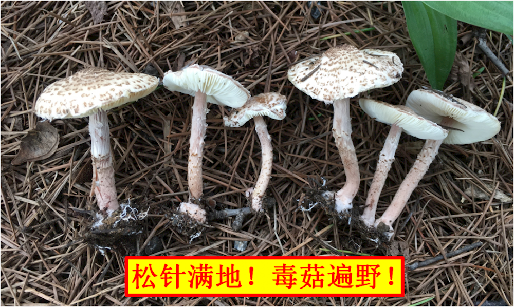 46bfc71d1e2c44b7b7ffe7600b3cabed.png