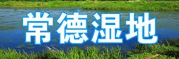 国际湿地城市