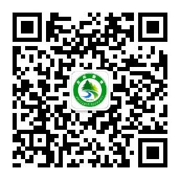 十大买球软件