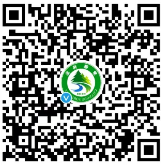 十大买球软件