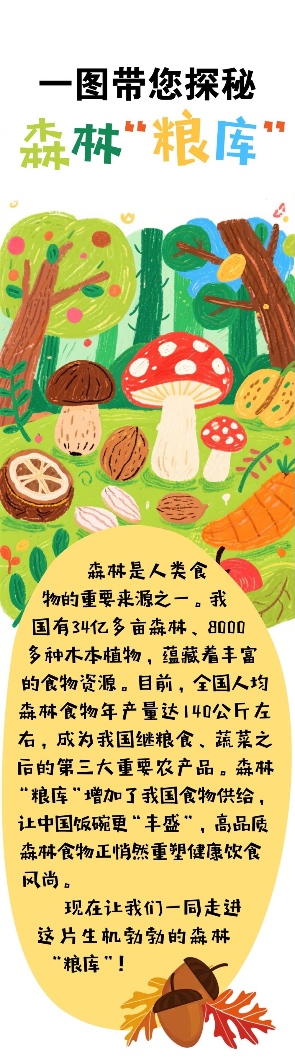 1108151571ve