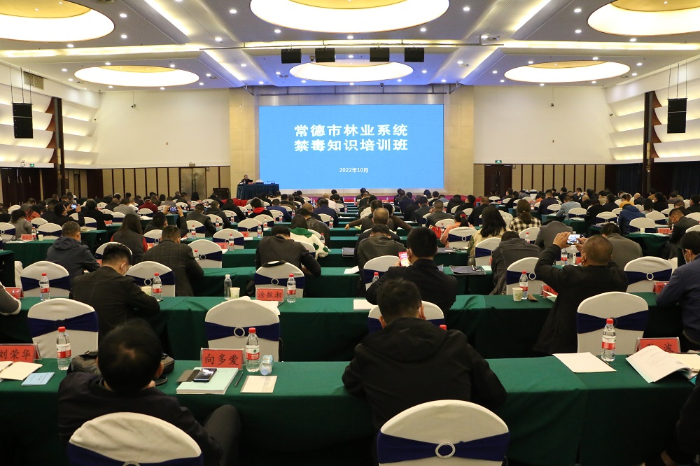 54edb17106d243ef9d66946f0b51efac.jpg
