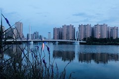 可靠买球服务