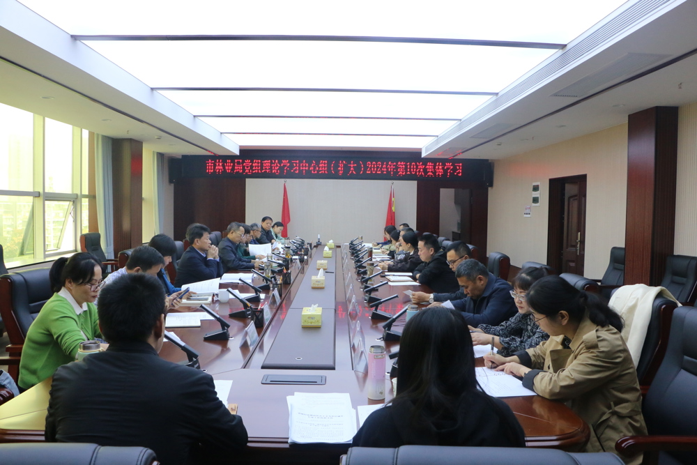 20241028中心组2024年第10次集体学习