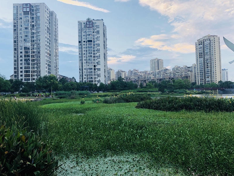 十大买球软件