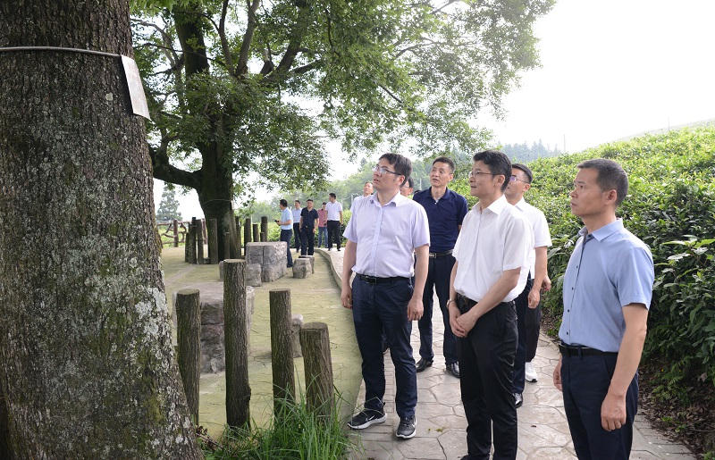十大买球软件