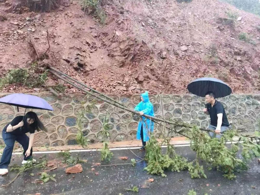 十大买球软件